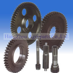 Spur Gear